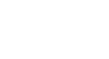 25 000 зрителей в 2025 году